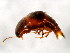  ( - BIOUG00818-A01)  @13 [ ] CreativeCommons - Attribution (2011) CBG Photography Group Centre for Biodiversity Genomics