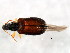  ( - BIOUG00818-E07)  @13 [ ] CreativeCommons - Attribution (2011) CBG Photography Group Centre for Biodiversity Genomics