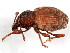  ( - BIOUG00818-E10)  @12 [ ] CreativeCommons - Attribution (2011) CBG Photography Group Centre for Biodiversity Genomics