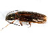  ( - BIOUG00818-F09)  @13 [ ] CreativeCommons - Attribution (2011) CBG Photography Group Centre for Biodiversity Genomics