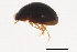  ( - BIOUG00873-D04)  @12 [ ] CreativeCommons - Attribution (2011) CBG Photography Group Centre for Biodiversity Genomics