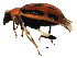  ( - BIOUG00874-B06)  @12 [ ] CreativeCommons - Attribution (2011) CBG Photography Group Centre for Biodiversity Genomics