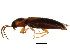  ( - BIOUG00874-C03)  @13 [ ] CreativeCommons - Attribution (2011) CBG Photography Group Centre for Biodiversity Genomics