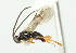  ( - 07PROBE-20278)  @12 [ ] CreativeCommons - Attribution (2010) CBG Photography Group Centre for Biodiversity Genomics