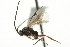  ( - 07PROBE-23394)  @13 [ ] CreativeCommons - Attribution (2010) CBG Photography Group Centre for Biodiversity Genomics