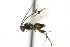  ( - 07PROBE-24249)  @12 [ ] CreativeCommons - Attribution (2010) CBG Photography Group Centre for Biodiversity Genomics