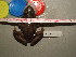  ( - RACLA-CMNAR 31141-01)  @12 [ ] Unspecified (default): All Rights Reserved  Unspecified Unspecified