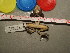  ( - RASYL-CMNAR 32760-02)  @12 [ ] Unspecified (default): All Rights Reserved  Unspecified Unspecified