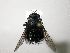  ( - Haber 000014)  @13 [ ] Unspecified (default): All Rights Reserved  Unspecified Unspecified