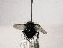 ( - Haber 000078)  @12 [ ] Unspecified (default): All Rights Reserved  Unspecified Unspecified