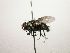  ( - Haber 000199)  @13 [ ] Unspecified (default): All Rights Reserved  Unspecified Unspecified