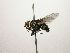  ( - Haber 000206)  @13 [ ] Unspecified (default): All Rights Reserved  Unspecified Unspecified