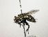  ( - Haber 000232)  @13 [ ] Unspecified (default): All Rights Reserved  Unspecified Unspecified