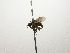  ( - Haber 000310)  @14 [ ] Unspecified (default): All Rights Reserved  Unspecified Unspecified