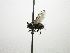  ( - Haber 000369)  @13 [ ] Unspecified (default): All Rights Reserved  Unspecified Unspecified
