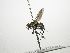  ( - Haber 000372)  @14 [ ] Unspecified (default): All Rights Reserved  Unspecified Unspecified