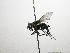  ( - Haber 000417)  @12 [ ] Unspecified (default): All Rights Reserved  Unspecified Unspecified