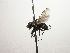  ( - Haber 000441)  @13 [ ] Unspecified (default): All Rights Reserved  Unspecified Unspecified