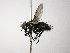  (Prospherysa - INB0003553258)  @15 [ ] Unspecified (default): All Rights Reserved  Unspecified Unspecified