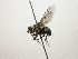  ( - Haber 000536)  @12 [ ] Unspecified (default): All Rights Reserved  Unspecified Unspecified
