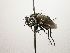  ( - Haber 000557)  @12 [ ] Unspecified (default): All Rights Reserved  Unspecified Unspecified