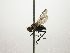 ( - Haber 000572)  @12 [ ] Unspecified (default): All Rights Reserved  Unspecified Unspecified