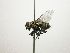  ( - Haber 000623)  @13 [ ] Unspecified (default): All Rights Reserved  Unspecified Unspecified