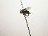  ( - Haber 000712)  @12 [ ] Unspecified (default): All Rights Reserved  Unspecified Unspecified
