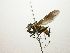  ( - Haber 000723)  @14 [ ] Unspecified (default): All Rights Reserved  Unspecified Unspecified