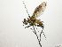  ( - Haber 000724)  @13 [ ] Unspecified (default): All Rights Reserved  Unspecified Unspecified