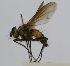  ( - INBIOCRI000924759)  @12 [ ] Unspecified (default): All Rights Reserved  Unspecified Unspecified