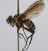  ( - INBIOCRI000936006)  @13 [ ] Unspecified (default): All Rights Reserved  Unspecified Unspecified