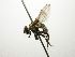  (Phasia CR 110 - INBIOCRI001188157)  @11 [ ] Unspecified (default): All Rights Reserved  Unspecified Unspecified