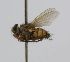  ( - INBIOCRI001326085)  @11 [ ] Unspecified (default): All Rights Reserved  Unspecified Unspecified