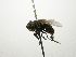  (Phasia CR 104 - INBIOCRI001725915)  @11 [ ] Unspecified (default): All Rights Reserved  Unspecified Unspecified