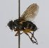  ( - INBIOCRI001938487)  @11 [ ] Unspecified (default): All Rights Reserved  Unspecified Unspecified