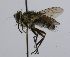  ( - INBIOCRI002013689)  @14 [ ] Unspecified (default): All Rights Reserved  Unspecified Unspecified