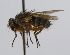  ( - INBIOCRI002118313)  @12 [ ] Unspecified (default): All Rights Reserved  Unspecified Unspecified