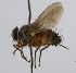  ( - INBIOCRI002164839)  @12 [ ] Unspecified (default): All Rights Reserved  Unspecified Unspecified
