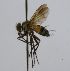  ( - INBIOCRI002335745)  @12 [ ] Unspecified (default): All Rights Reserved  Unspecified Unspecified
