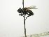  (Phasia CR 111 - INBIOCRI002418228)  @11 [ ] Unspecified (default): All Rights Reserved  Unspecified Unspecified