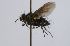  ( - INBIOCRI002473233)  @11 [ ] Unspecified (default): All Rights Reserved  Unspecified Unspecified