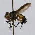  (Syringosoma CR 122 - INB0003067168)  @11 [ ] Unspecified (default): All Rights Reserved  Unspecified Unspecified