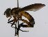  (Syringosoma CR 125 - INB0003360078)  @11 [ ] Unspecified (default): All Rights Reserved  Unspecified Unspecified
