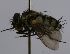  ( - INBIOCRI000362558)  @12 [ ] Unspecified (default): All Rights Reserved  Unspecified Unspecified