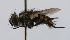  ( - INBIOCRI000493381)  @13 [ ] Unspecified (default): All Rights Reserved  Unspecified Unspecified