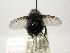  ( - INBIOCRI000837942)  @13 [ ] Unspecified (default): All Rights Reserved  Unspecified Unspecified