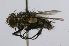  ( - INBIOCRI000838820)  @11 [ ] Unspecified (default): All Rights Reserved  Unspecified Unspecified