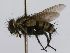  ( - INBIOCRI000916797)  @11 [ ] Unspecified (default): All Rights Reserved  Unspecified Unspecified