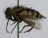  ( - INBIOCRI001192516)  @11 [ ] Unspecified (default): All Rights Reserved  Unspecified Unspecified